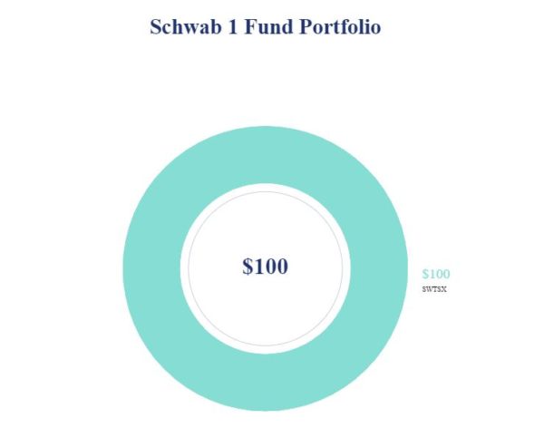 Schwab 1 Fund Portfolio