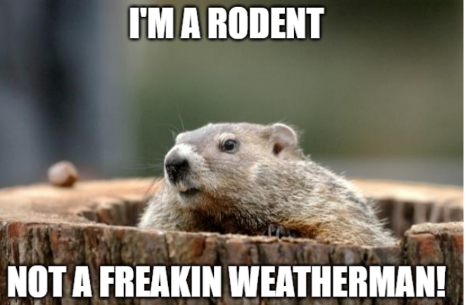 i'm a rodent not a freakin weather man groundhog's day